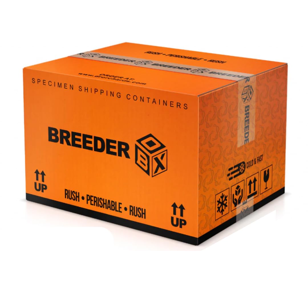 Breeder Box insulated specimen shipping container for chilled canine semen